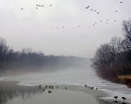 DSCN9044a.jpg