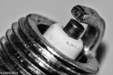 Sparkplug.jpg