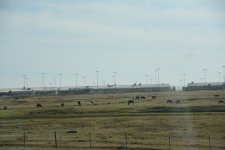 DSC_3523.JPG