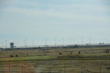 DSC_3525.JPG