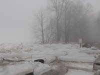 DSCN9087.jpg
