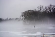 DSC_6918.jpg