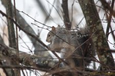 DSC_6923.jpg