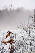 DSC_6919.jpg