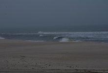 DSC_7527.jpg
