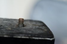 SHM_9336.jpg