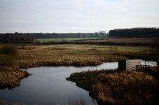 DSC_7862.JPG