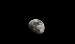 D5100_02573.jpg