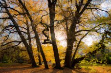 untitled-21-2.jpg