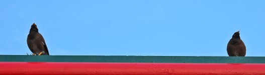c-shrine-3.jpg