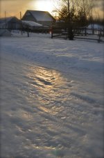 NIK_0557.jpg