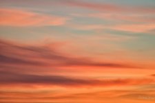 Day15-1.jpg