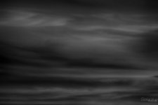 Day15-2.jpg