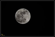 Day15FullMoon.jpg