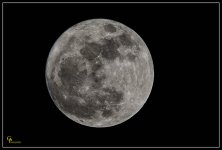 Day15FullMoonCropped.jpg