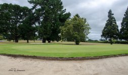Greenside Bunker LOL.jpg
