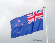 Flag1 LOL.jpg