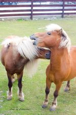 Necking LOL.jpg