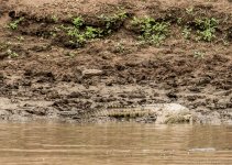 DSC_8986.jpg