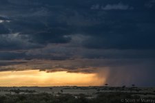DSC_8813.jpg