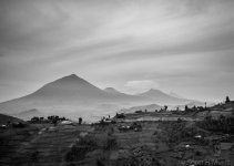 DSC_7115.jpg