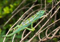 DSC_7541.jpg
