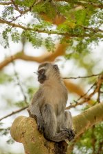 DSC_8311.jpg