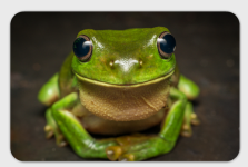 Screenshot 2014-01-16 22.17.07.png