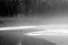 DSCN9026.jpg