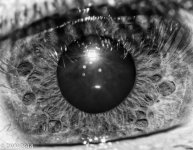 I see you.jpg