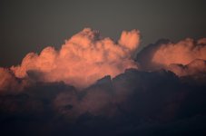 DSC_6920.jpg