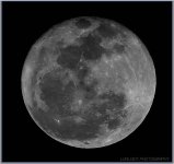 Moon 1.jpg