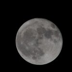 DSC_1557.JPG