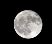DSC_1558.JPG