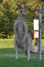 DSC_5425.jpg