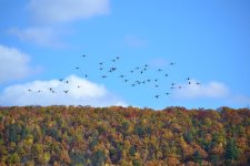 DSC_1368.jpg