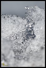 Day17Ice.jpg
