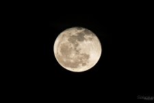 Day17-1.jpg
