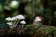 DSC_4223.jpg