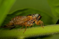DSC_4164.jpg