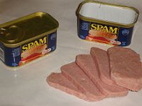 220px-Spam_with_cans.jpeg