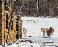 20140118-_D806464-Edit.jpg