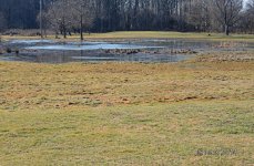 Golf Course Green resize.jpg
