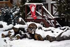 DSC_1577.jpg