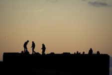 DSC_3678.jpg