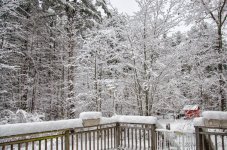 DSC_9524-Edit.jpg