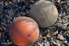 Lost Balls Resize.jpg