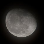 DSC_3746.jpg