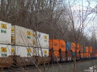 DSCN1039.jpg