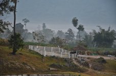 foggy-2.jpg
